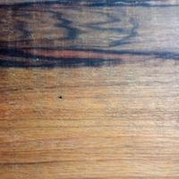 tavolo in legno massello o piano cucina 