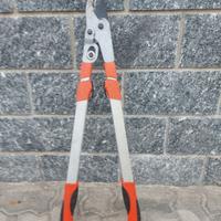 Tagliarami telescopico