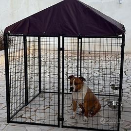 Kennel recinto per cani esterno