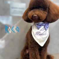 Barboncino nano per monta