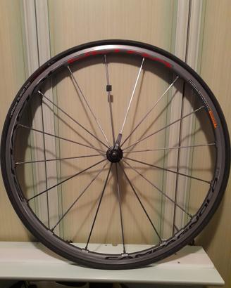 Cerchi campagnolo shamal ultra rim (con pignoni)