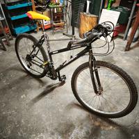 mountain bike da battaglia