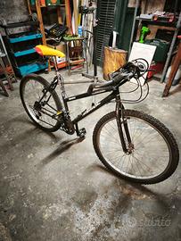 mountain bike da battaglia