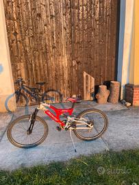 Bicicletta Casadei sport hornet 8500