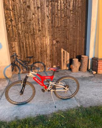 Bicicletta Casadei sport hornet 8500