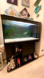 Acquario 200lt+mobile