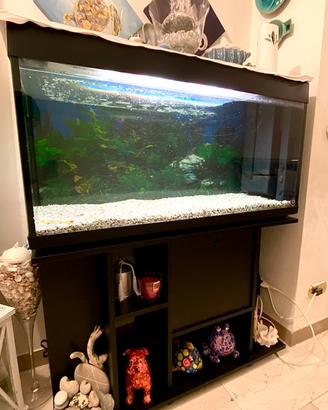 Acquario 200lt+mobile