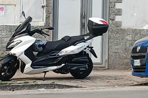 wottan storm 300 i