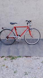 bici uomo