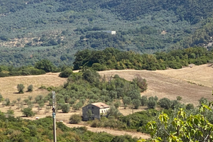 Terreno con rustico + uliveto ( SA )