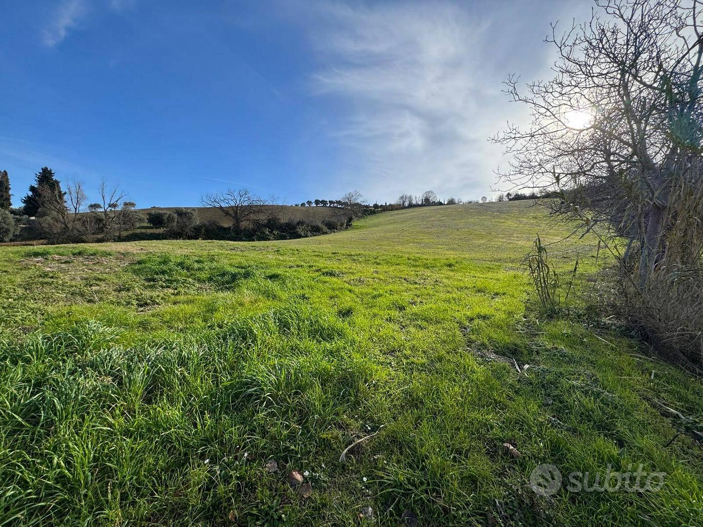 Terreno con accessorio - Fermo - Vista 4