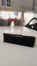 SSD NVME 256GB con Dissipatore metallico M.2