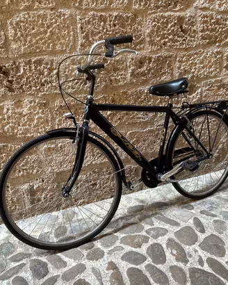 Bicicletta olandese uomo