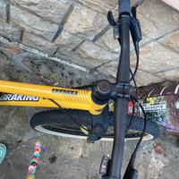 Bicicletta  mtb ragazzo