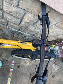 Bicicletta  mtb ragazzo