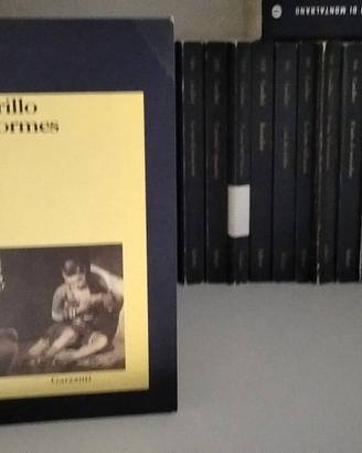 Lazarillo de Tormes