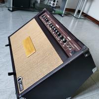 Amplificatore CARLSBRO SHERWOOD 30R Combo