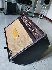 Amplificatore CARLSBRO SHERWOOD 30R Combo