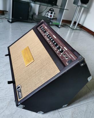 Amplificatore CARLSBRO SHERWOOD 30R Combo