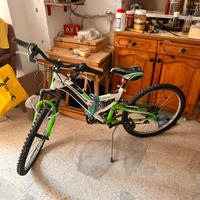 Bicicletta ragazzo/bambino