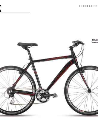 Bici Vicini Ibrida Trekking Alluminio Perfetta