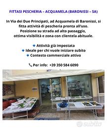 Attività pescheria - acquamela (baronissi - sa)