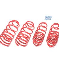 KIT MOLLE SPORTIVE PER VOLKSWAGEN