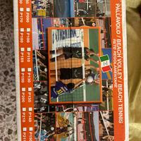 RETE PALLAVOLO PROFESSIONALE