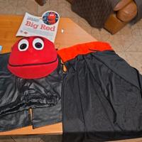 Lotto Carnevale (maschera più accessori)