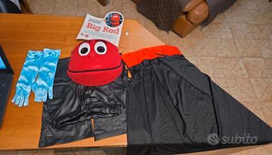 Lotto Carnevale (maschera più accessori)