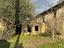 Immagine 19