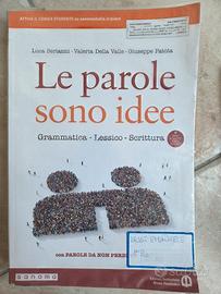 Le parole sono idee