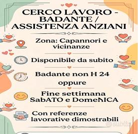 Badante non h24
