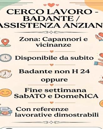 Badante non h24