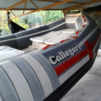 Gommone + motore + carrello