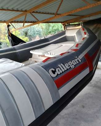 Gommone + motore + carrello