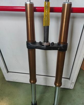 forcelle KYB tenere 700