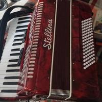 Fisarmonica 96 Bassi + Custodia Rigida Anno 2015