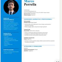 No lavori come call center o agenzia immobiliare