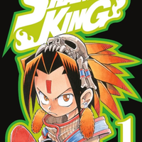 Prezzo Ribassato SHAMAN KING manga prima 1^ ed