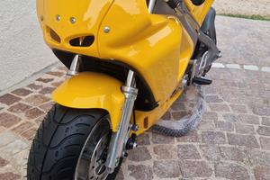 minimoto polini replica nuova liquido