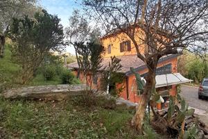 Annuale