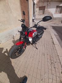 ducati scrambler 
