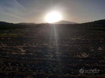 RGE 54/2005 Trib ENNA - LOTTO 1