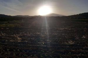 RGE 54/2005 Trib ENNA - LOTTO 1