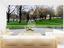 Immagine 21