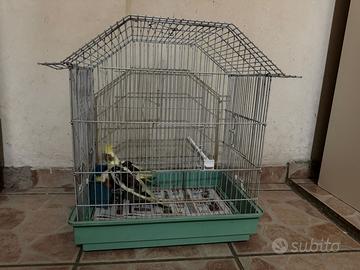 Gabbia per uccelli