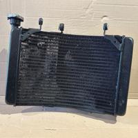 Radiatore Acqua Completo Mv Agusta Brutale Dragste