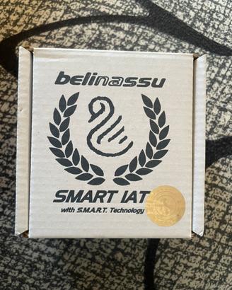 Smart IAT Ducati v4 rally