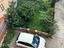 Immagine 11